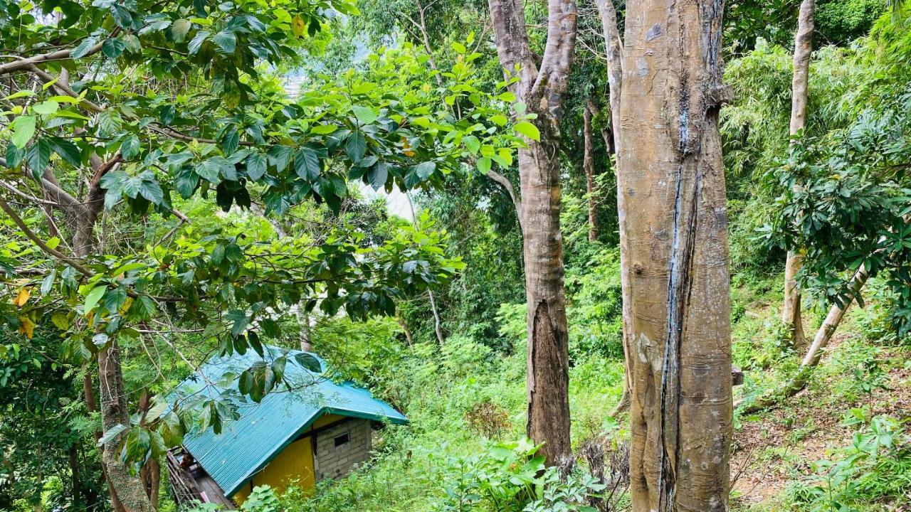 Camp Talusi Hilltop Overlooking El Nido Eksteriør bilde