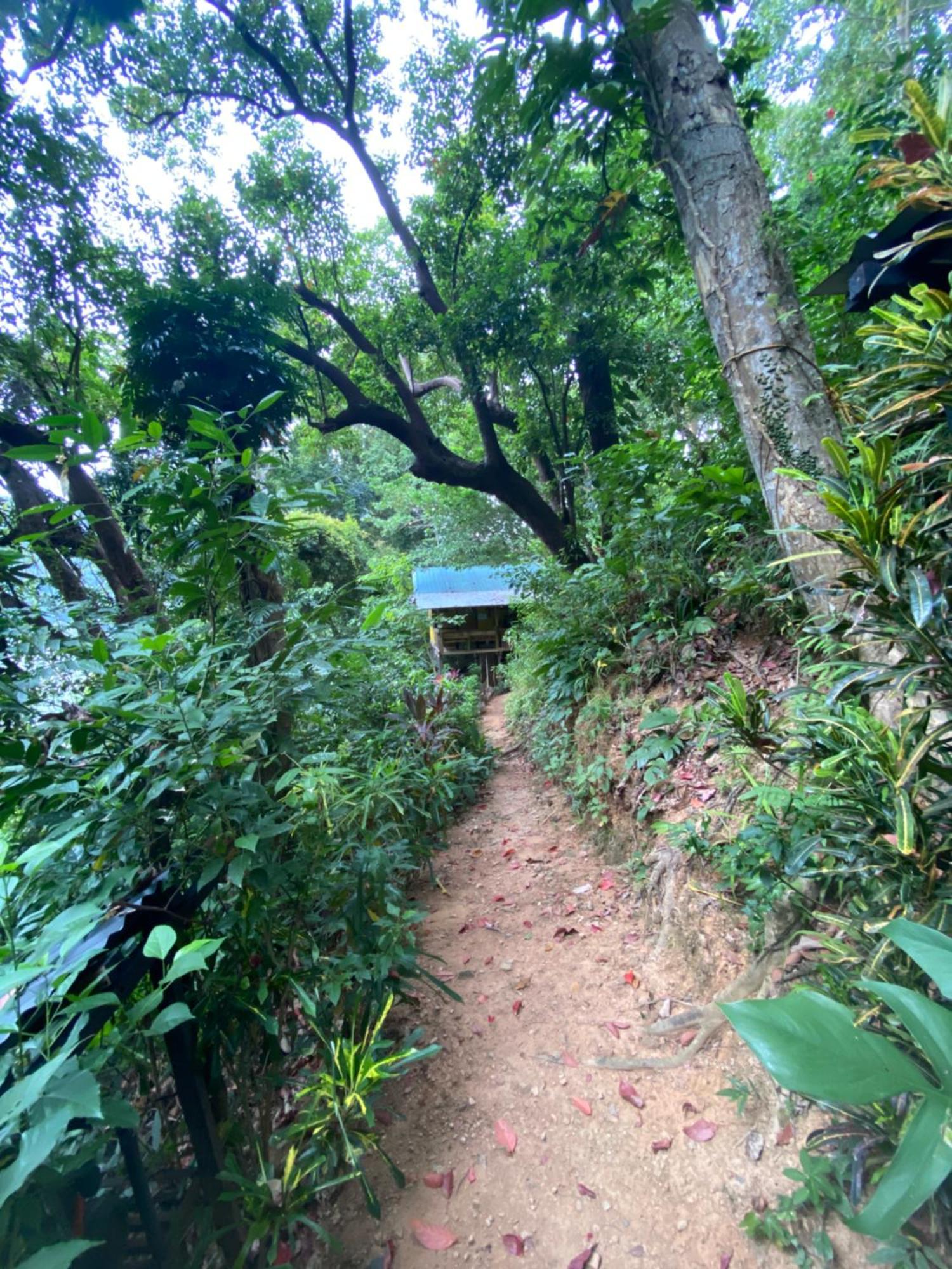 Camp Talusi Hilltop Overlooking El Nido Eksteriør bilde