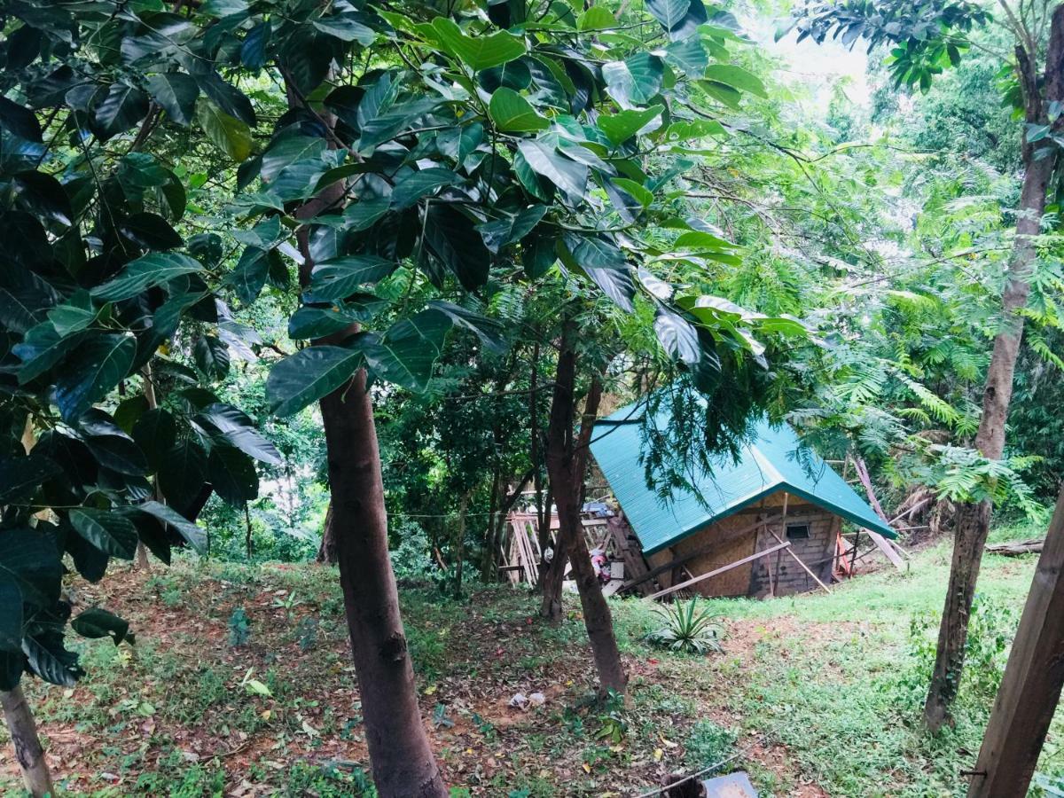 Camp Talusi Hills Overlooking El Nido Eksteriør bilde